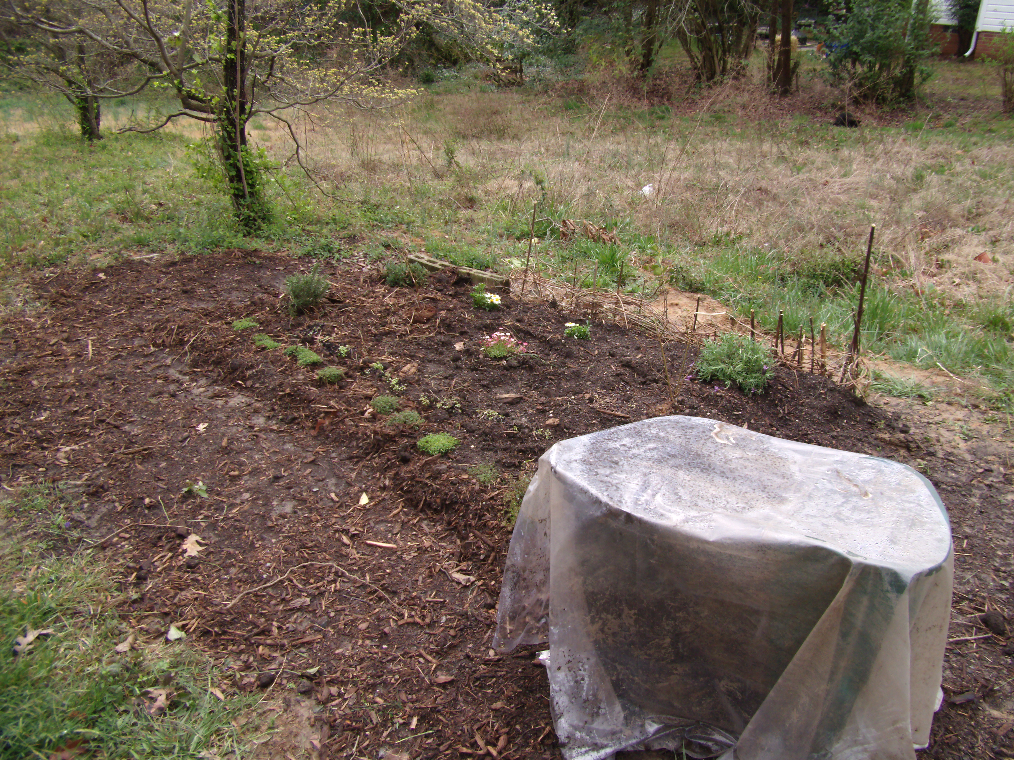 Garden Plot