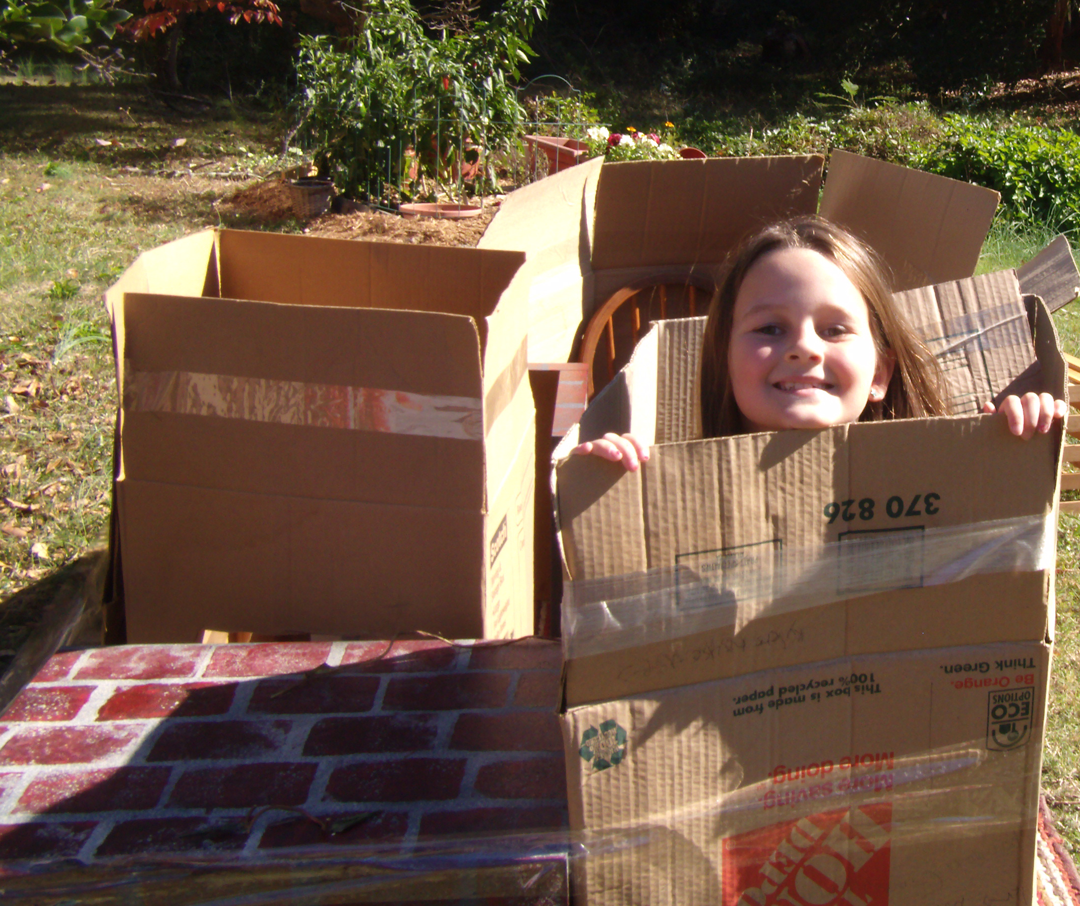 Cardboard Castle