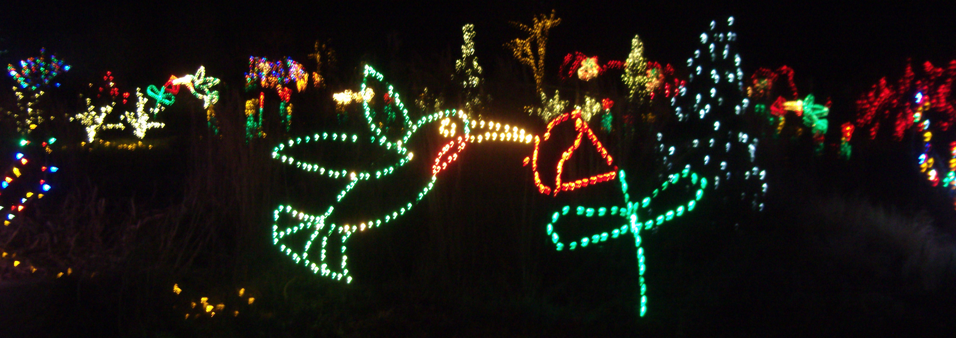 Christmas in Charlotte
