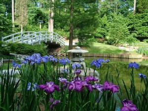 duke gardens