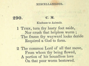 worms
