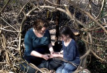 Fairy House