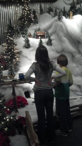 model train
