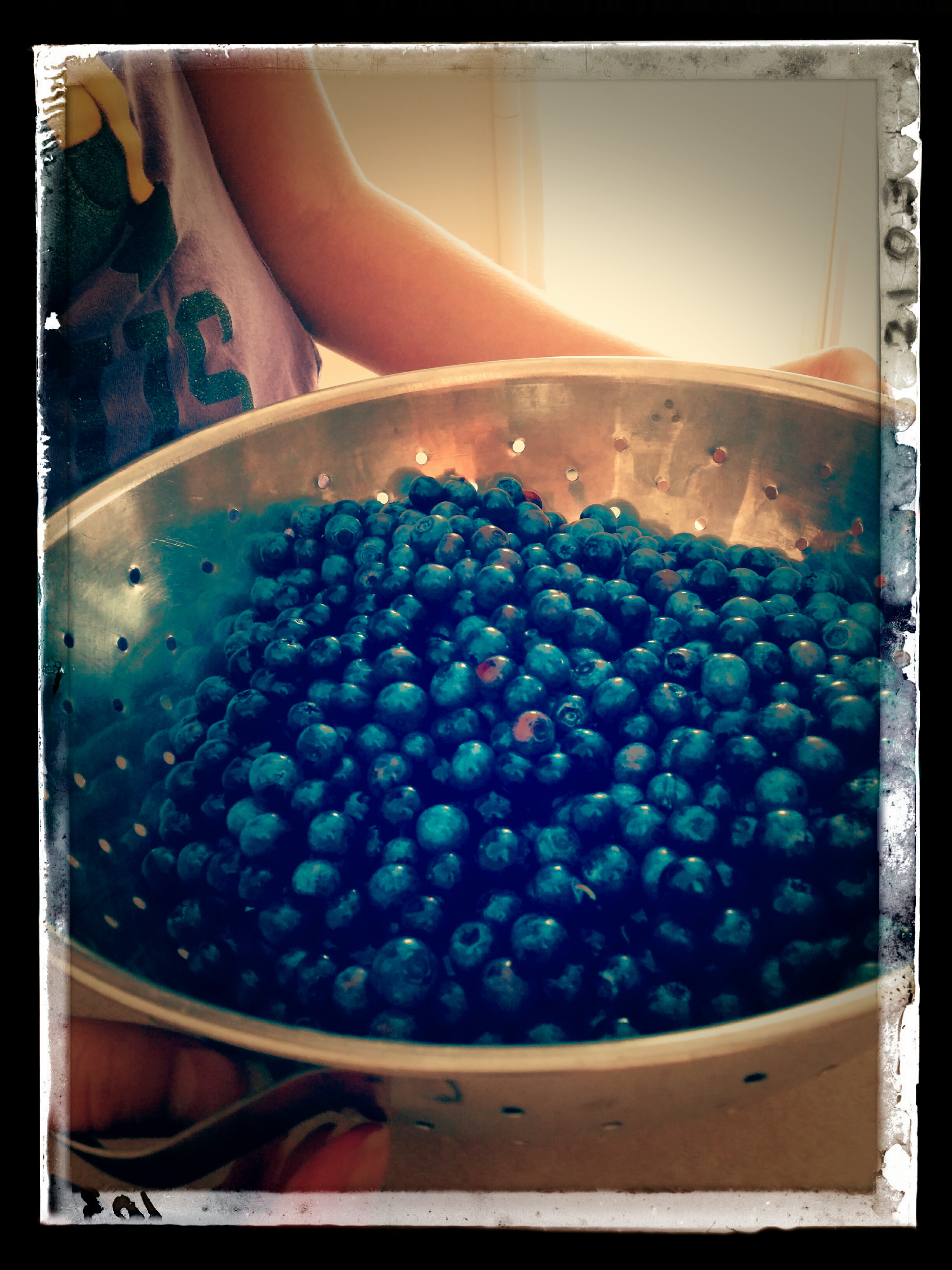 Blueberries!