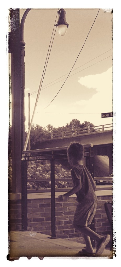 xak chasing birds